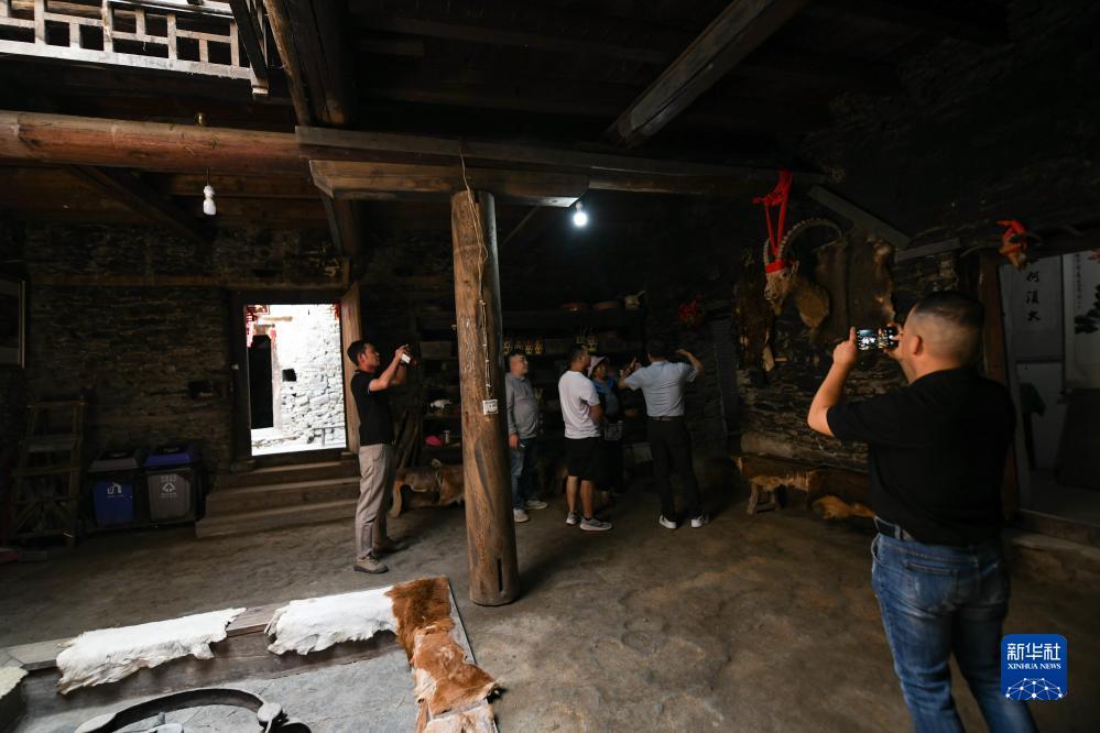集结号大厅登录